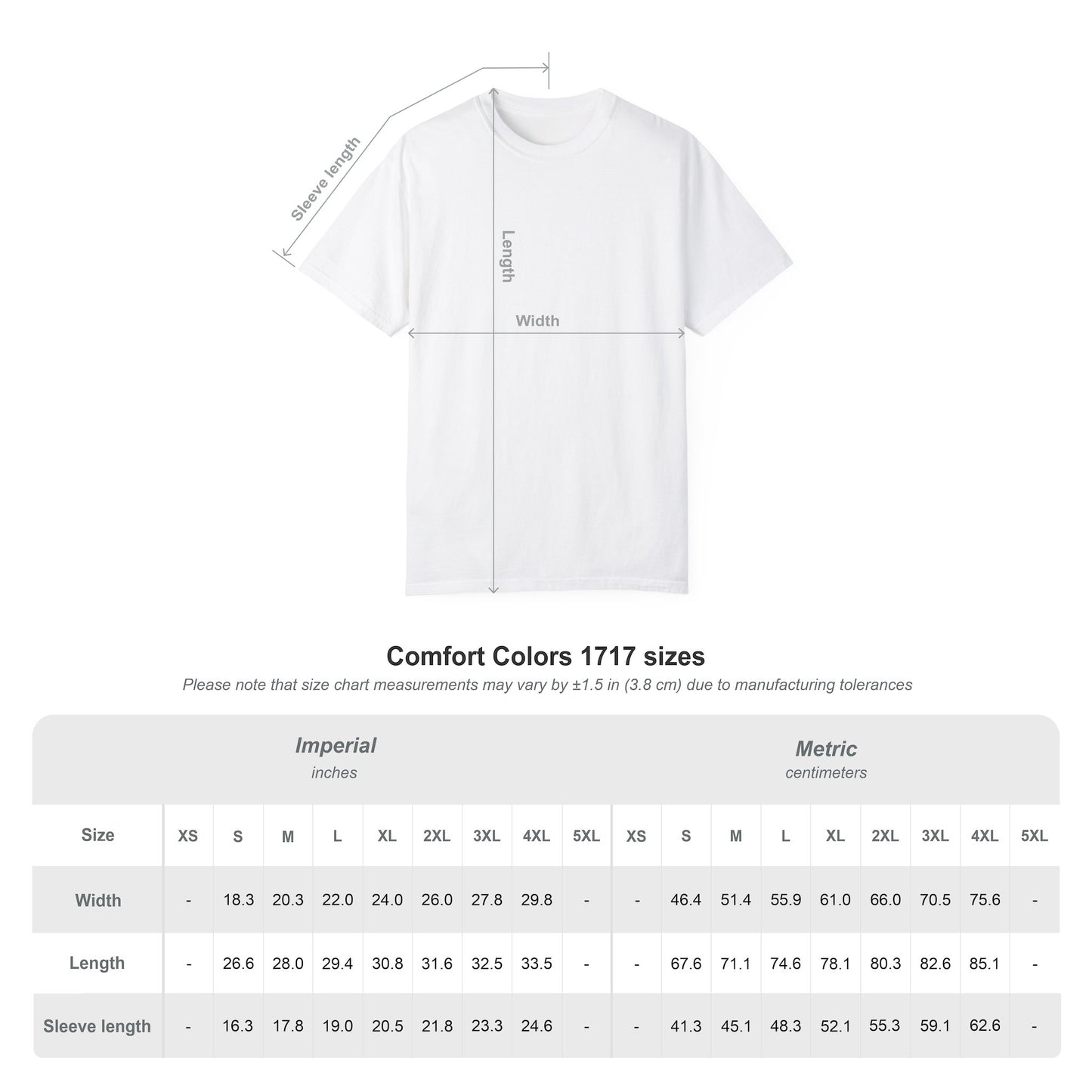 Unisex Garment-Dyed T-shirt - Black Take the Hidden Path